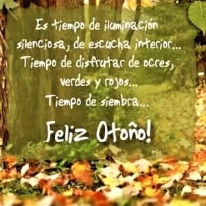 Betiana Blum Instagram - 