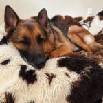Betty Who Instagram - made some music in march! ✨🎧🎹