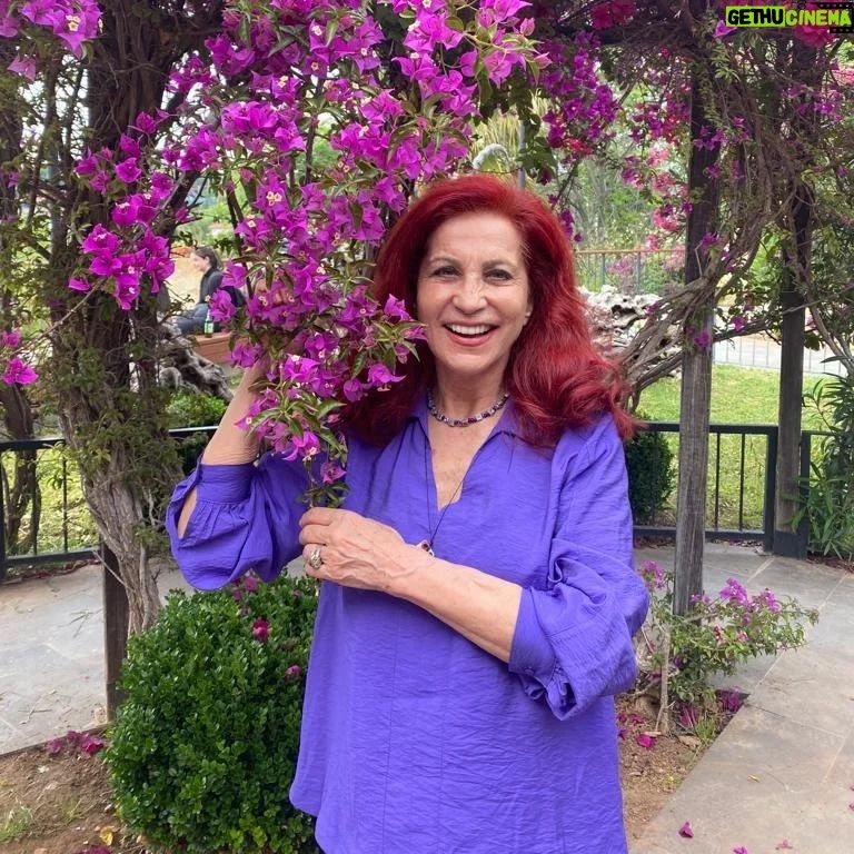 Betül Arım - 4.7K Likes - Dışarda Hiçbir Şey Var oyunumda soruyorum ya; aranızda organlarını bedenini seven var mı ? diye. Bu beden bize armağan ve emanet. E şimdi bizim kültürde de armağana hıyanet etmek olmaz ona iyi bakmamız lazım. Nasıl yapacağımızı o kadar güzel anlatmış ki lütfen okuyun, yaşamınıza geçirin ve paylaşın ki çoğalalım. Yaşamınızda her şey kolaylıkla ve güzellikle olsun bütün olumsuzluklar size deneyim kazandırırken teğet geçsin. Sağlıkla, sevgiyle, adaletle, bolluk bereketle, muhabbetle ama hep sanatla kalalım. 👫🤝📚🎨🖍️🦜❤️
#betülarım #betülarımlayaşamasanatı #dışardahiçbirşeyvar #kişiselgelişim #bedenimiz