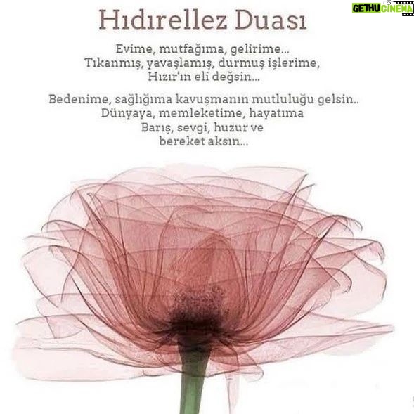 Betül Arım - 1.5K Likes - 5 Mayısı 6 Mayıs'a bağlayan Gece Hıdırellez. 💐 Yukardaki dileklere hepimiz bir şey ekleyelim diyorum. Ben adalet, birlik bilinci, yaratılmış olan her varlığa sevgi ve saygı, eğitim eşitliği, bolluk bereket ekledim, Siz….. 👫🤝👭❤️
Hıdırellez yapılacaklar listesi 🌿🌻🍀🐝
- 💚 Eskilerinden kurtul. - 💚Ev ve işyerindeki çöpleri, birikmişlerini at ve mekanlarını temizle hatta üzerlik veya adaçayı ile tütsüle, bir saksıda büyüyen ve güzel kokan bir çiçek al evine mis koksun. - 💚Vedalaşamadıklarını bir kağıda yaz, yeniden oku ve kararını ver, -bu yazdıklarınla bağın devam etsin mi, bitsin mi? Hazır hissedersen Hıdırellez ateşinde (bulamazsan evinizde) yak.
- 💚 Dileklerini bir kağıda yaz ve bir keseye koy, içine 1TL veya kağıt para da ekle. - 💚Keseni bulabilirsen gül ağacına, yoksa bir ağaç dalına, o da yoksa pencerenin önüne ya da balkon demirlerine asabilirsin . - 💚 Dışarıda olması, niyetini dışarıya açmanı sembolize eder. - 💚 Kesenin yanı sıra bahçene, balkonuna, deniz kıyısına ya da ağaçlık yeşil yerlerin herhangi birinde küçük taşlarla, tebeşirle veya benzer bir materyalle hayallerini resmet. İçinde senin de olman önemli...
- 💚Sabah erkenden kalkıp keseni, dilek listeni al. Gidebiliyorsan deniz kıyısına veya akarsu yanına git veya yazdıklarını suya bırak. Yapamıyorsan sevdiğin bir kitabın arasına koy. - 💚6 Mayıs sabahı parka, bahçeye git, eğer gidemiyorsan 5 dakika olsun kendine zaman ayır. Niyetlerin olduğunda kendini nasıl hissediyorsun buna odaklan. - 💚 1 TL metal veya kağıt para ile yaptığın bereket parasını ufak kırmızı bir kese içinde cüzdanına koy; bir yıl bereket enerjin yükselsin, gelen yetsin, giden geri gelsin. 🏡🎈🦋🌹🦜
#hıdırellez #bahar #doğa #doğacandır