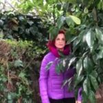 Betül Arım