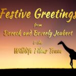 Beverly Joubert Instagram - As the holiday season ushers in the end of another year, we can reflect on our successes and renew our commitment to safeguarding our precious planet. Meaningful change cannot happen without collaboration, so thank you to everyone for your support and generosity during 2023. From @DereckJoubert, @GreatPlainsConservation, @GreatPlainsFoundation, the entire Wildlife Films team, and myself, we wish you a happy festive season, and we're excited about the possibilities that a new year might bring.