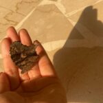 Bhagyashri Borse Instagram – This & that 🦋🦕🩵