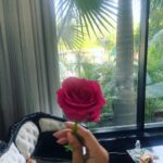 Bhagyashri Borse Instagram - Felt cute 🐒