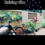 Bharatha Naidu Instagram - Morg vibe 🫰💕💕💕