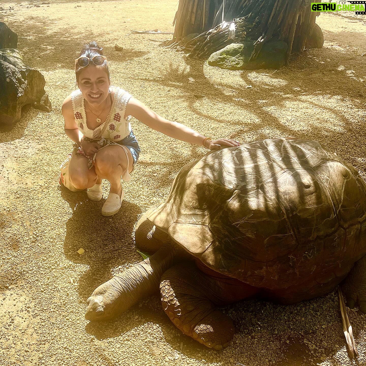Bhavna Limbachia - 3 Likes - Shell-abrating with my new pal š¢