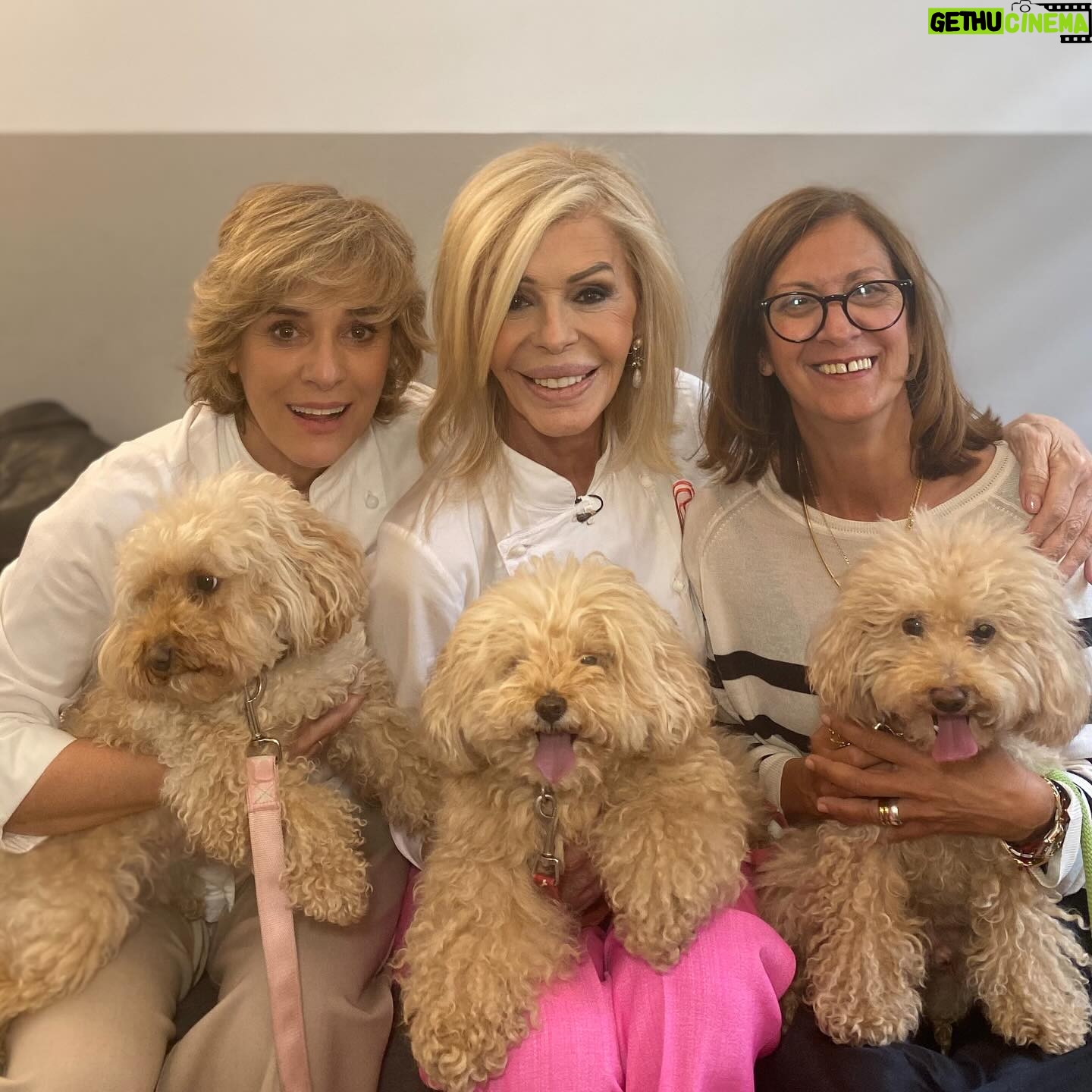 Bibiana Fernández Instagram - Días de sorpresas de amigas de perras en general, ya lo veis Tina y @anabelalonso_of más Hope Joe y Juana 🤷♀️❤️
