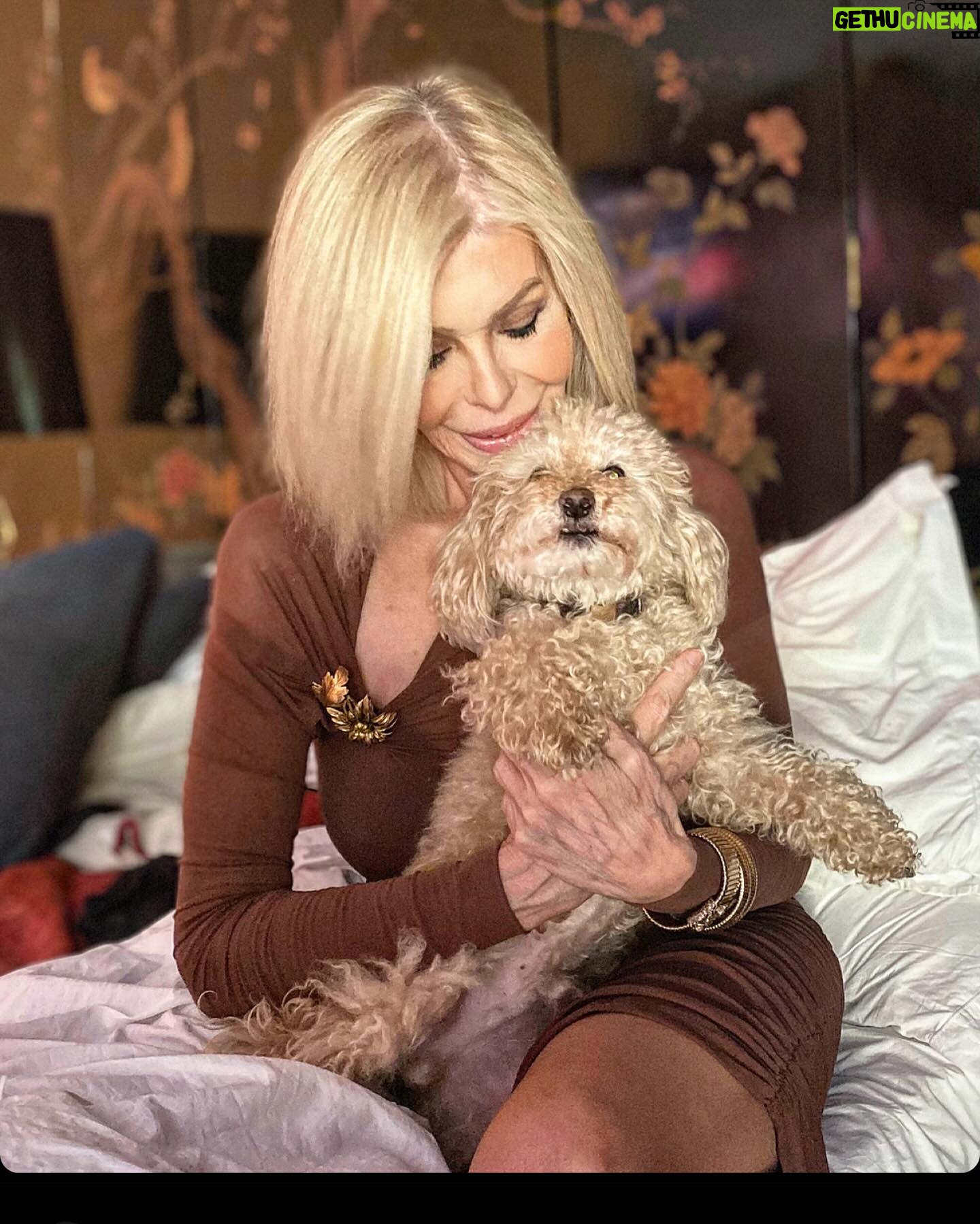 Bibiana Fernández Instagram - La segunda foto es antes de salir con Joe, no quiere que venga a trabajar, no sé si tiene plan de ahorro 🤔😂desde @vamosaver_tv con amor ❤️