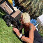 Billur Kalkavan Instagram - Hayvansever @tokabodrum otelin köpüşleri… hepsi birbirinden sevimli ve canayakın. Köpek aşkı limitimi şimdilik doldurdum 🦮 . . . #köpekler #dogs #köpekaşkı #doglover #ilovedogs #dogsarefamily #dogsarebetterthanpeople #hayvansevgisi #hayvanlarısev #pets #sevgi #aşk #bodrum #torba #otel #animalfriendly #hayvandostu #dogsofinstagram #dogsofinstaworld #dogsarethebest
