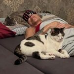 Billur Kalkavan Instagram – Eve dönmekten memnun musun? Tabii çok bi de rahat uyuyabilsem 😹
Kafamda Julie, bacak arasında Kirpi, ayak ucunda Şanslı, yanıbaşımda Aslan, yan yatakta Venüs ve YinYeng daha ne olsun 😹Buğra çekmiş gece fotoyu.
.
.
.
#kedi #cat #kediler #cats #uyku #sleep #rahat #comfort