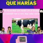 Bimbo Godoy Instagram – Calentamos motores para el Señoras Online de esta noche con la 2da parte del “que es lo primero que harías” con la espectacular @srtabimbo
¿Vos qué harías si te despertás con una vaca en el living?
No te olvides de seguirnos en
👾 Twitch.tv/seniorasonline
💕 youtube.com/@SomosGelatina
💸 y si querés dejar un dinerito para bancar este proyecto, subscribite en www.gelatina.com.ar