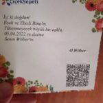 Binnaz Ekren