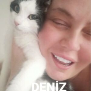 Binnaz Ekren Instagram - Bu sabah😍
Bu bebeğe ( 1 karış)  ona çoook iyi bakacak bir  yuva arıyoruz. ( Bizde kontenjan taşmış durumda)
Pek kıymetli kedicik yuva arıyor.
#satınalmasahiplen  #satinalmasahiplen  #satınalmasahiplen🐾🐾🐾 #kedi #kediyeyuva #kedisizhayatcokbayat