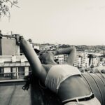 Birsu Demir