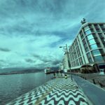Birsu Demir