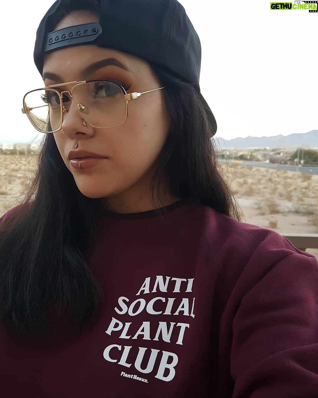 Bixton Suicide - 7.2K Likes - I've got more plants than friends 😎🌿 Ha! 🤷🏽♀️
Anyone else finding it increasingly difficult to make friends as you get older?
@thatplantheaux
#antisocial #antisocialplantclub
#plantheaux