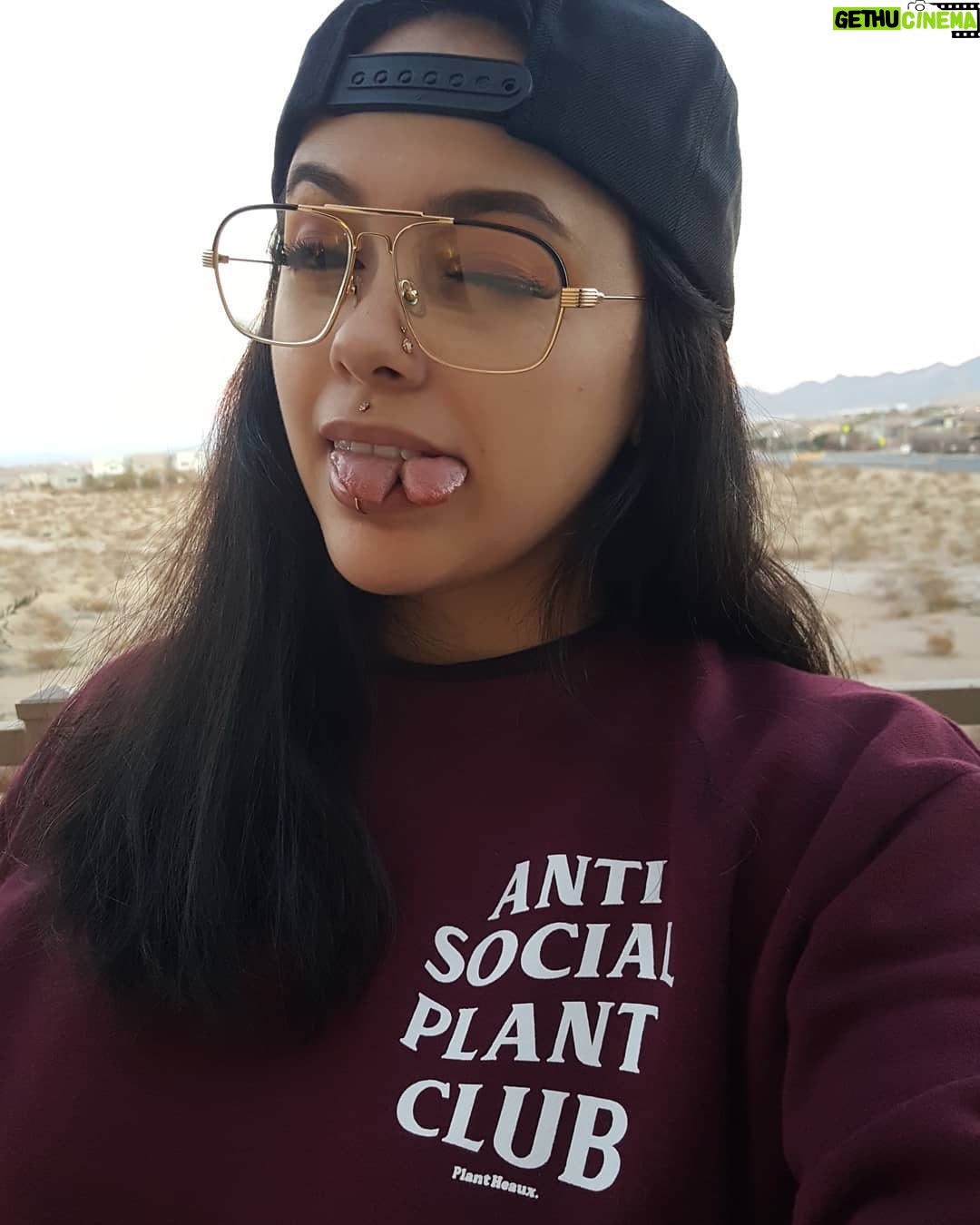 Bixton Suicide - 7.2K Likes - I've got more plants than friends 😎🌿 Ha! 🤷🏽♀️
Anyone else finding it increasingly difficult to make friends as you get older?
@thatplantheaux
#antisocial #antisocialplantclub
#plantheaux