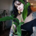 Bixton Suicide Instagram - When you& your plant share roots in Mexico 🇲🇽 Bornday planty from my amazing Mister @lococivilian scooped up from my wonderful bby @jaydias 🌿Philodendron Mexicanum #plantheaux #philodendronmexicanum