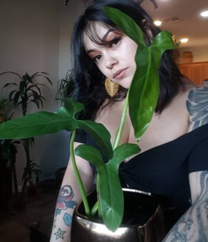 Bixton Suicide Instagram - When you& your plant share roots in Mexico 🇲🇽 
Bornday planty from my amazing Mister @lococivilian scooped up from my wonderful bby @jaydias 

🌿Philodendron Mexicanum

#plantheaux #philodendronmexicanum