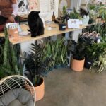 Bixton Suicide Instagram - Visited Texas in Dec. & dragged the familia to some plant shops 🌵🪴🌿 Forgot my phone so @lococivilian was my photographer 🥺📷 🌱@plant_shoppe 🌱@tillageplants