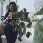 Bixton Suicide Instagram - Slangin' photosynthetic friends today & tomorrow 🌿 📍 @lvplantcollective #plantheaux #plantselfie #philodendron