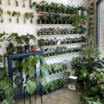 Bixton Suicide Instagram - Visited Texas in Dec. & dragged the familia to some plant shops 🌵🪴🌿 Forgot my phone so @lococivilian was my photographer 🥺📷 🌱@plant_shoppe 🌱@tillageplants