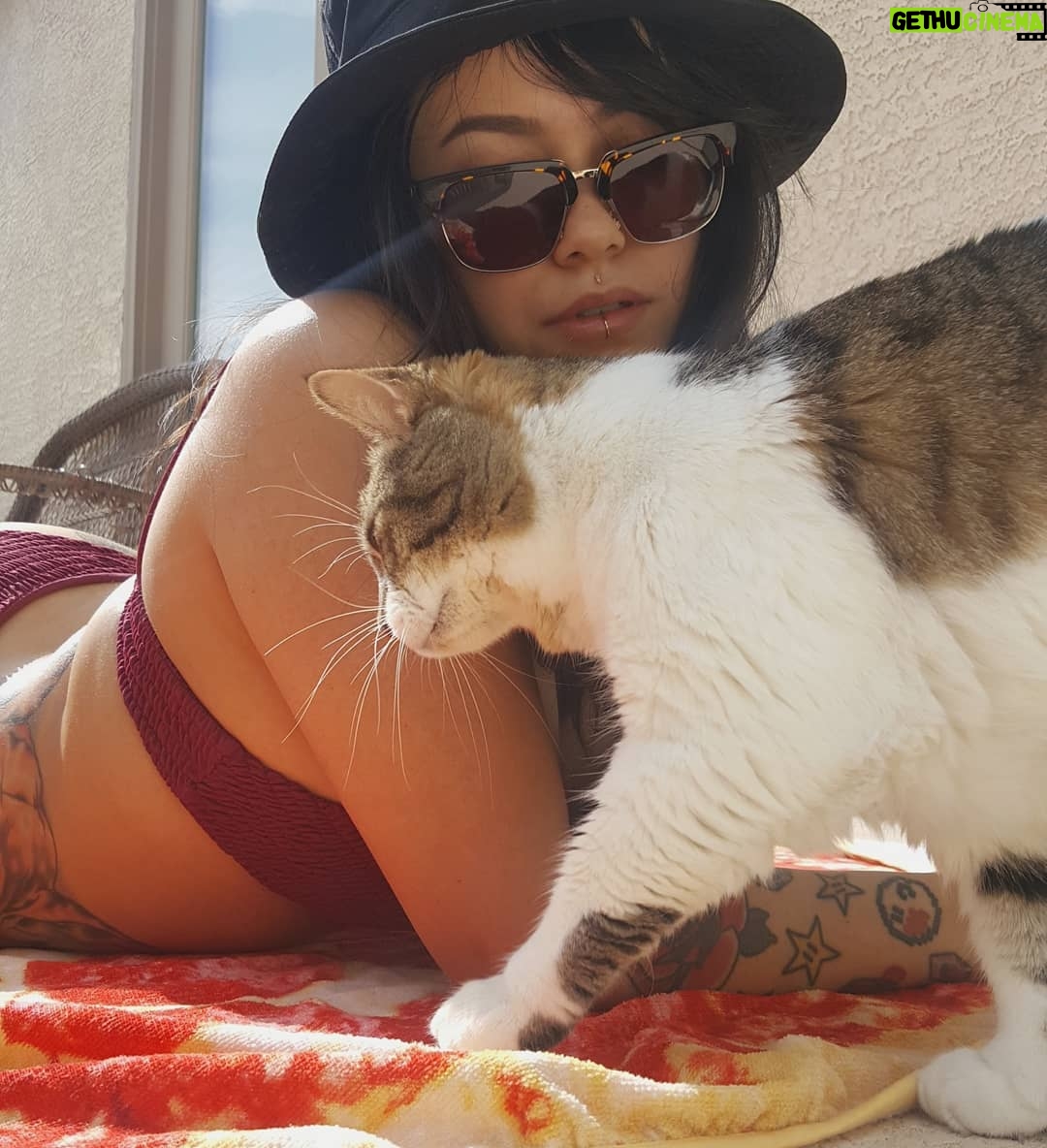 Bixton Suicide Instagram - Living our best cat life 😺 #mycatMoo #cream