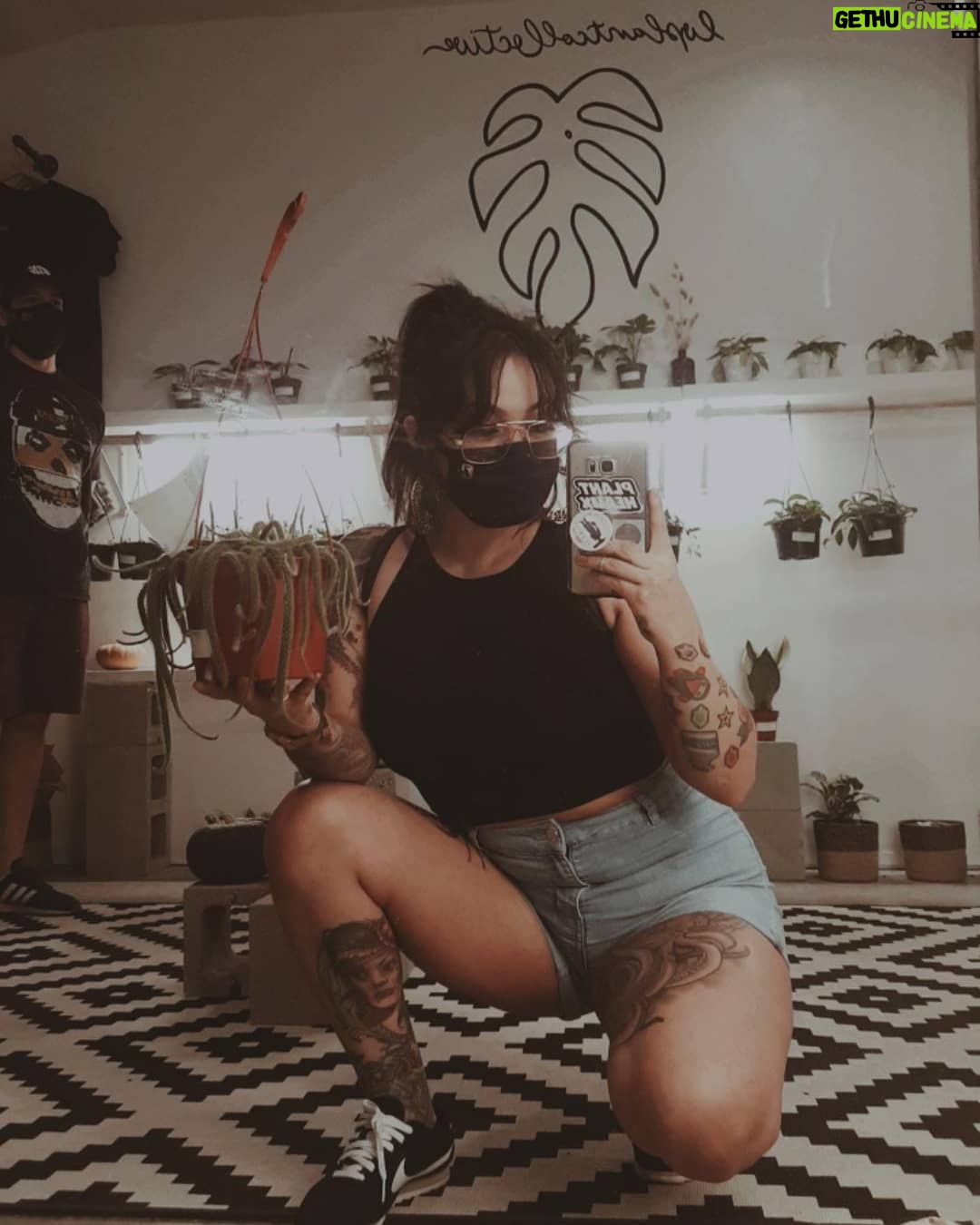 Bixton Suicide - 5.2K Likes - You already know me &Pookie love to support small & shop local ✌🏽
Did a super quick visit during their opening week & nabbed a couple of cuties from @lvplantcollective 🌿
I've missed several restocks already though, cause "safety 1st" 😑😒😷
#plantheaux