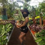 Bixton Suicide Instagram - Existentialism &plantshopping? S'go! 😎🌿 Yes he got me that philodendron hastatum (silver sword) 💅🏾 #thatplantheaux #philoheaux #philodendronhastatum