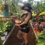 Bixton Suicide Instagram - Existentialism &plantshopping? S'go! 😎🌿 Yes he got me that philodendron hastatum (silver sword) 💅🏾 #thatplantheaux #philoheaux #philodendronhastatum