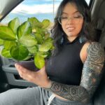 Bixton Suicide Instagram - I spent 10 days sick in bed at home.. then my MoonCycle started immediately after.. it was a rough week.. I missed out on Halloween shenanigans AND I was an emotional bebe.. I purchased 5 new plants to feel better 🌿🙃 yes they were all hoyas. #hoyaaustralislisa #hoyaheaux #plantheaux 📷 pookie took these photos ;P