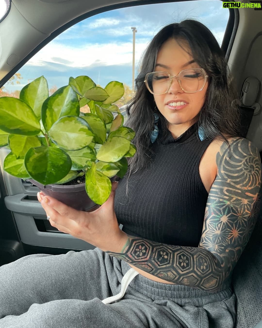 Bixton Suicide - 6.2K Likes - I spent 10 days sick in bed at home.. then my MoonCycle started immediately after.. it was a rough week.. I missed out on Halloween shenanigans AND I was an emotional bebe..
I purchased 5 new plants to feel better 🌿🙃 yes they were all hoyas.
#hoyaaustralislisa #hoyaheaux #plantheaux
📷 pookie took these photos ;P