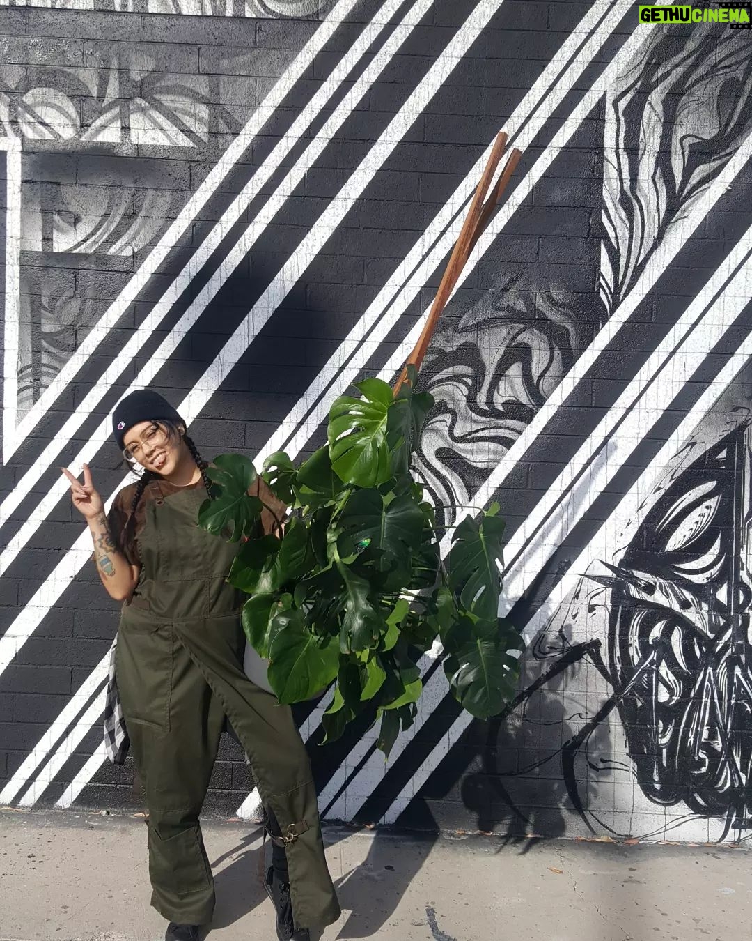Bixton Suicide Instagram - Feeling very grateful for the stable relationships in my life π± .. and yeah I guess even some of the temporary distracting ones π π©π½βπΎ you reap what you sow, eh? #plantheaux #monsteramonday #gardenheaux #gardenhoe