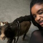 Bloody Civilian Instagram - GOAT
