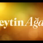 Boncuk Yilmaz Instagram - Zeytin Ağacı❤️ 28 Temmuz’da Netflix’te… #anotherself #zeytinağacı #netflix