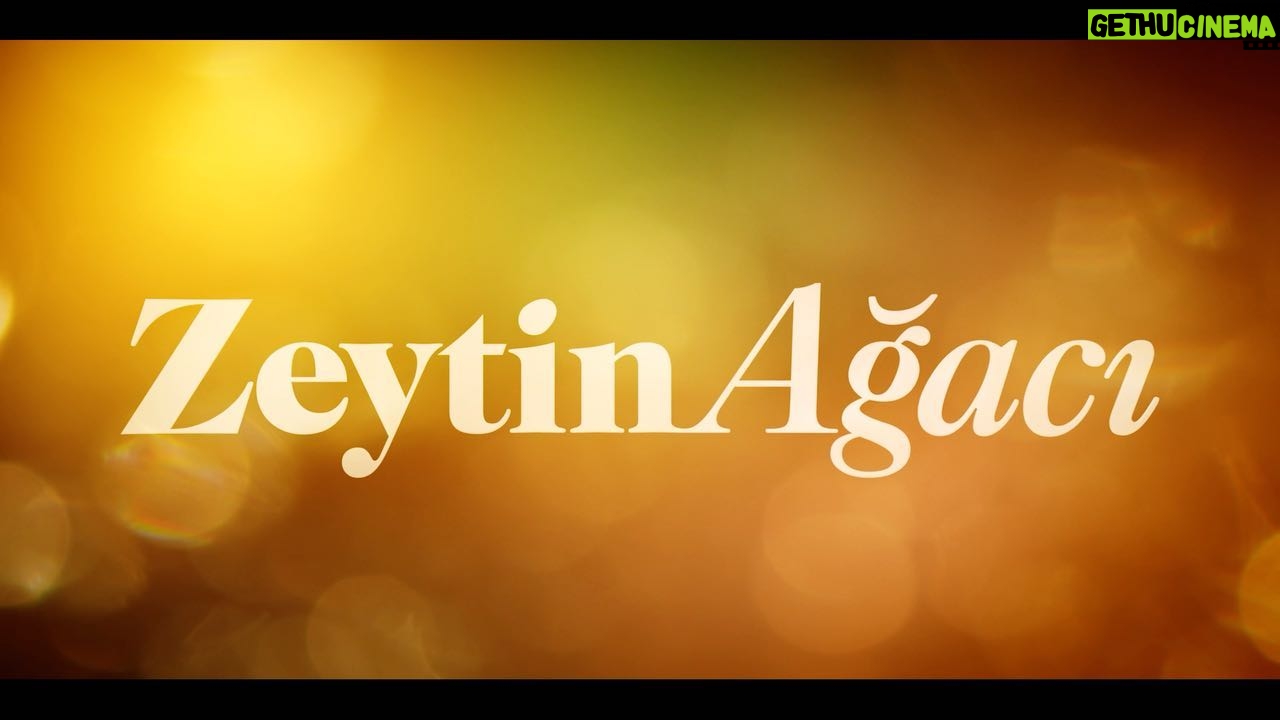 Boncuk Yilmaz Instagram - Zeytin Ağacı❤️ 28 Temmuz’da Netflix’te… #anotherself #zeytinağacı #netflix