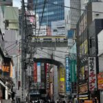 Bosco Instagram - 🇯🇵Strays in the big city 🇯🇵