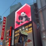 Bosco Instagram - 🇯🇵Strays in the big city 🇯🇵