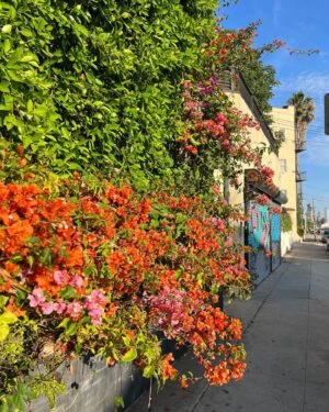 Brady Reiter Instagram - i love summer i love summer i love summer i love