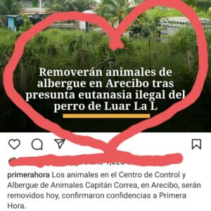 Brenda Robles Instagram - Mis sentimientos entre dulce y amargo, entre felicidad y tristeza. Gracias Jhonny, tu vida y tu sufrimiento destaparon los abusos contra otros como tú, ayudaste a que los que no tienen voz sean escuchados. Te extraño, pero se hará justicia y seguiremos en contra de todos lps que cometieron actos ilegales en el proceso. No descansaremos PROMETIDO.