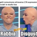 Brenda Lodigiani Instagram – Tra cui….🙀😼
#GialappaShow vi aspetta tutti i lunedì alle 21:30 in prima visione!