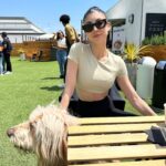 Briana Cuoco Instagram - a roundup ❤️‍🔥❤️‍🔥❤️‍🔥❤️‍🔥❤️‍🔥