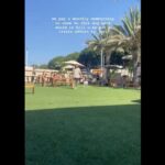 Briana Cuoco Instagram - a roundup where the last slide is the only one that matters