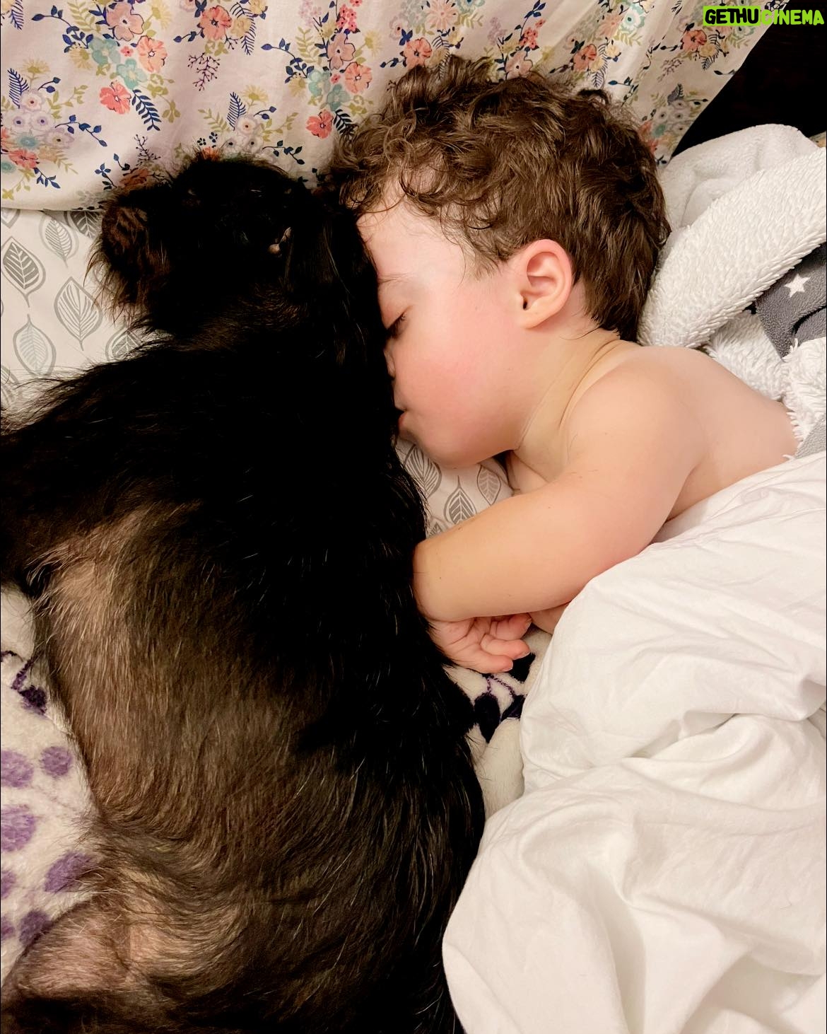 Briana Renee Instagram - Just a dog and her boy 😍 Sweet dreams 😴