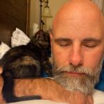 Briana Renee Instagram - Quinn (aka Mimi’s) is all about @manning_party_of_5 💜👉🏻 #catdad #purrfect #adoptdontshop #wrappedaroundherpaw 🐾 #catsofinstagram 🖤🧡 #bestillmyheart #sweetdreams