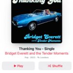 Bridget Everett Instagram - Our new song is out everywhere! Bridget Everett and The Tender Moments: THANKING YOU. Recorded @virtueandvicestudios. Mixed by David Greenbaum. Mastered by Randy Merrill
