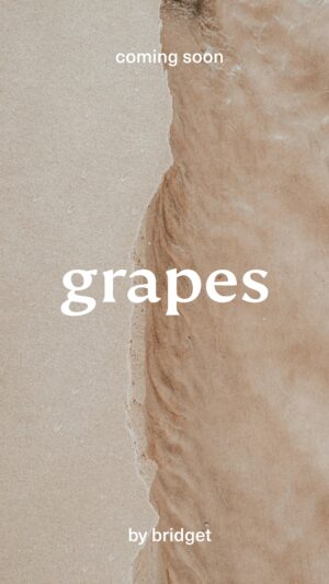 Bridget Maasland Instagram - Vrouwen (en iedereen die vrouwen lief heeft) opgelet: GRAPES is hier! Gedreven door medische inzichten, persoonlijke ervaringen en met aandacht voor elkaars verhaal maken we hier gehakt van vooroordelen, taboe en schaamte rondom de (pre)menopauze en ouder worden. Meld je via de link aan voor de nieuwsbrief en word onderdeel van onze (gratis) community!