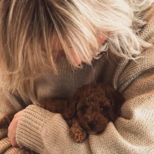 Bridget Maasland Instagram - Zo gezellig bij @marjoleinvantwillert thuis. Mijn allerliefste collega-vriendin met de aller schattigste pups. Wat heerlijk om met Mees een middag over jullie vloer te rollen en te kroelen met deze schatjes. 😍