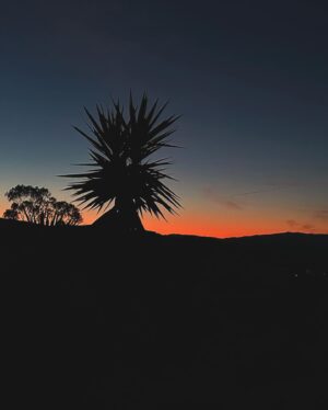 Bridget Maasland Instagram - Recap Women intensive Portugal 🇵🇹 

1.  D’aligo yoga retreat
2. 2 uur per dag vrije tijd
3. Aan de pool
4. Uitzicht bij mijn huisje
5. Alles van je afspoelen in een heel koud beekje 
6. Kookworkshop van de allerliefste @mikelhengeveld 
7. Zonsopgang voor de yoga
8. Collage van mijn leven op dit moment 
9. Na een intense dag vol familie-opstellingen
0. Zonsopgang op het hoogste punt