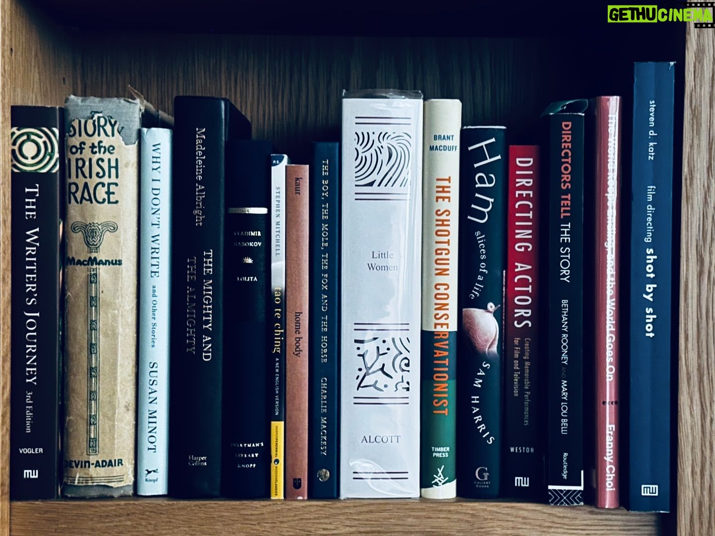 Bridget Moynahan Instagram - Friends, history and passions all on one shelf! #ilovebooks